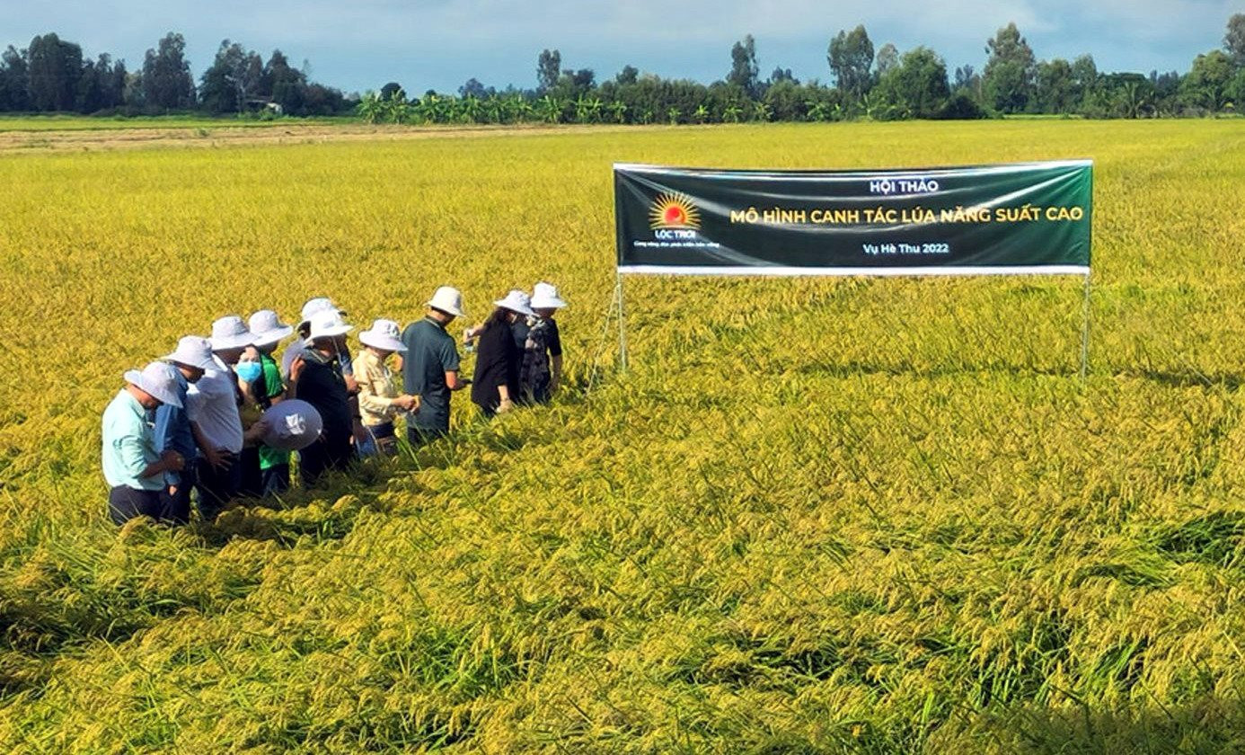 Tập đoàn nông sản của Việt Nam đặt mục tiêu 1 tỷ USD doanh thu vào năm 2024 - Ảnh 1.