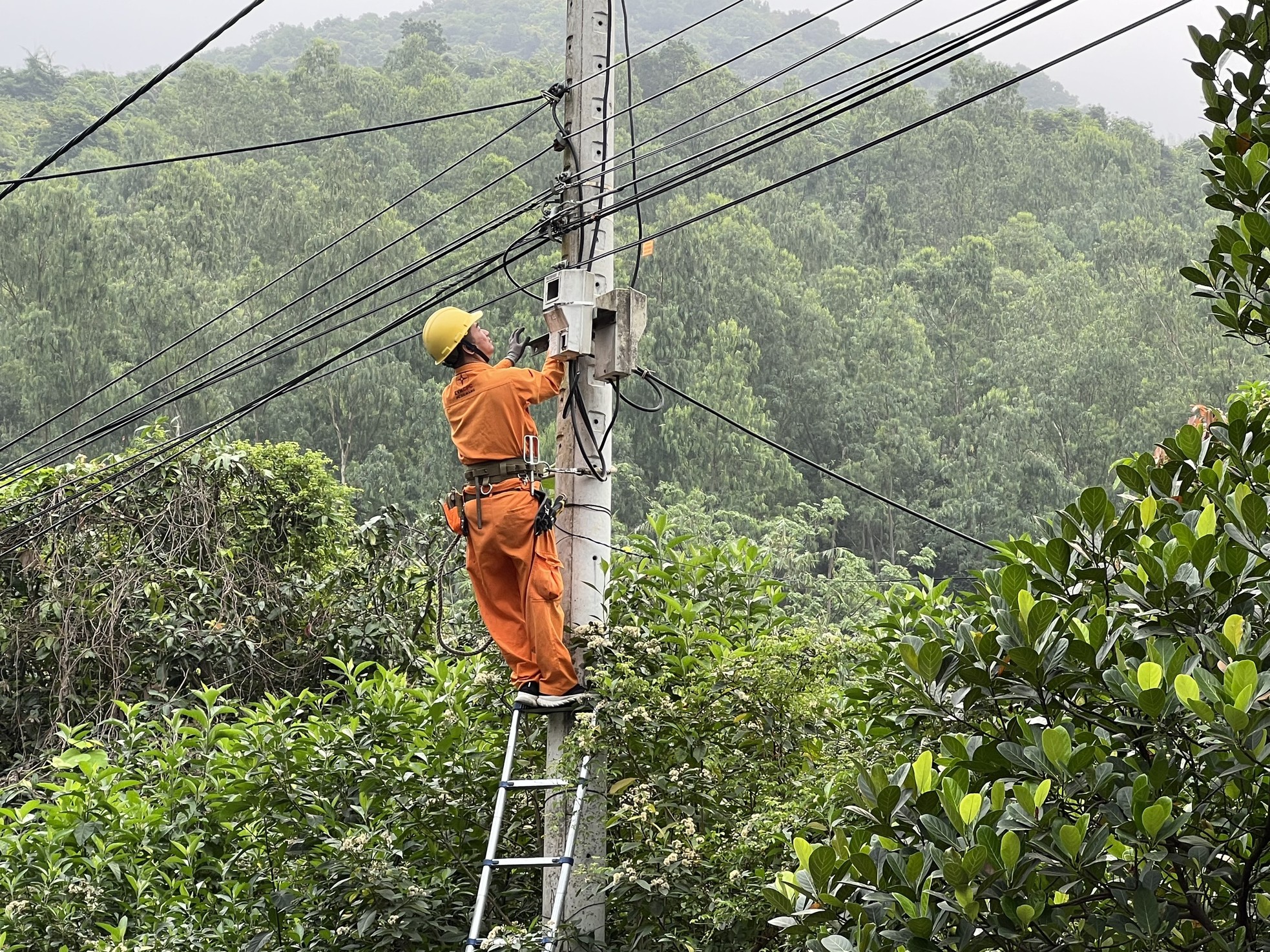 Cưỡng chế hàng loạt nhà hàng trái phép trên bán đảo Sơn Trà - Ảnh 6.