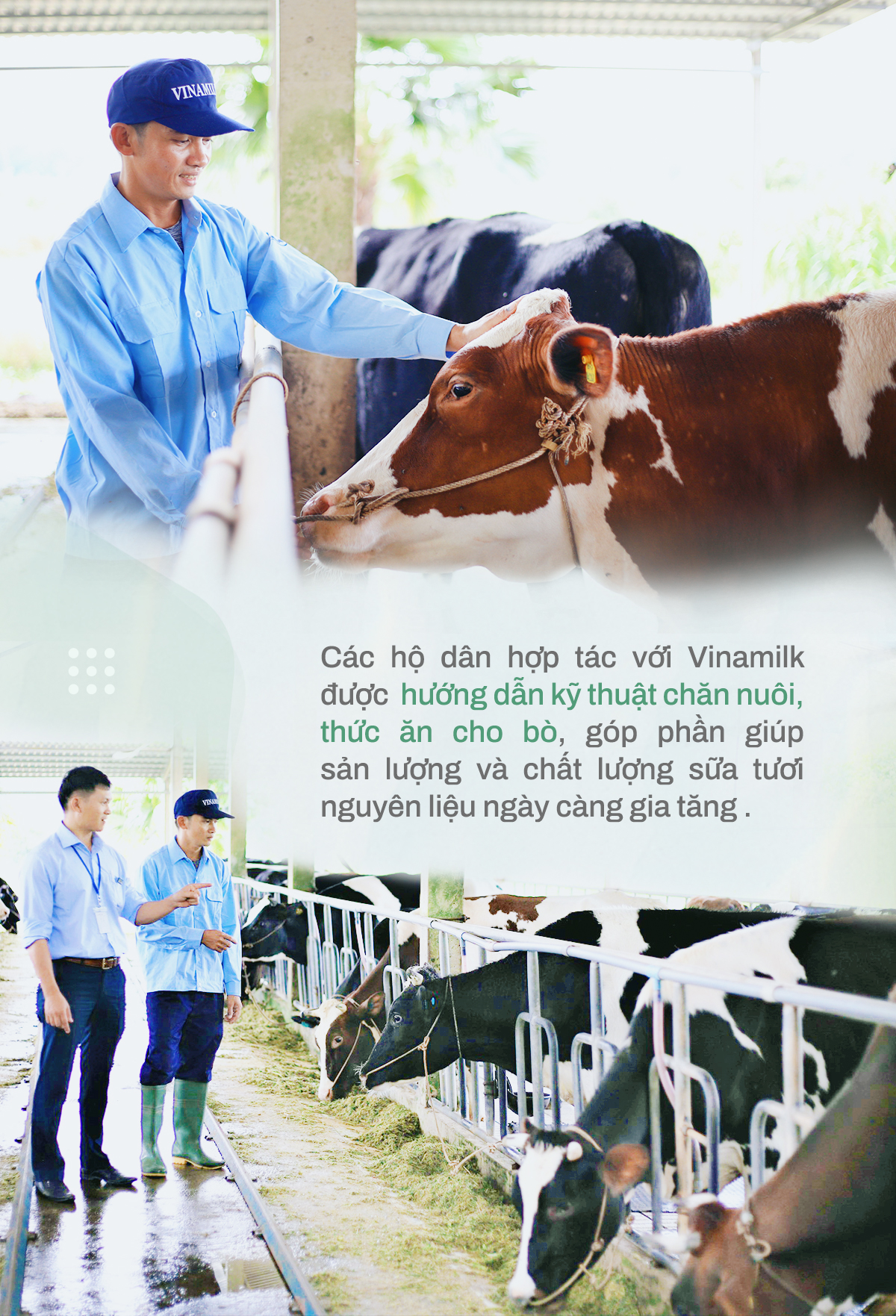 Bà Mai Kiều Liên – Nữ doanh nhân, nhà khoa học tâm huyết vì ngành sữa - Ảnh 3. Bà Mai Kiều Liên – Nữ doanh nhân, nhà khoa học tâm huyết vì ngành sữa - Ảnh 3.