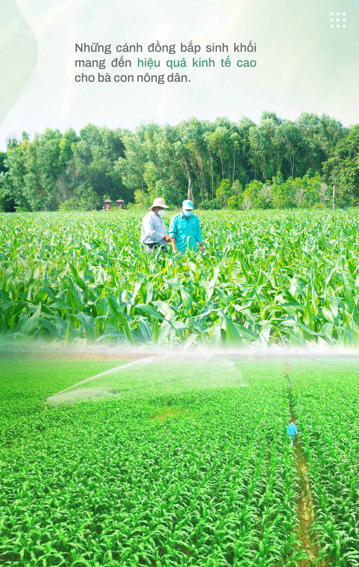 Bà Mai Kiều Liên – Nữ doanh nhân, nhà khoa học tâm huyết vì ngành sữa - Ảnh 5. Bà Mai Kiều Liên – Nữ doanh nhân, nhà khoa học tâm huyết vì ngành sữa - Ảnh 5.