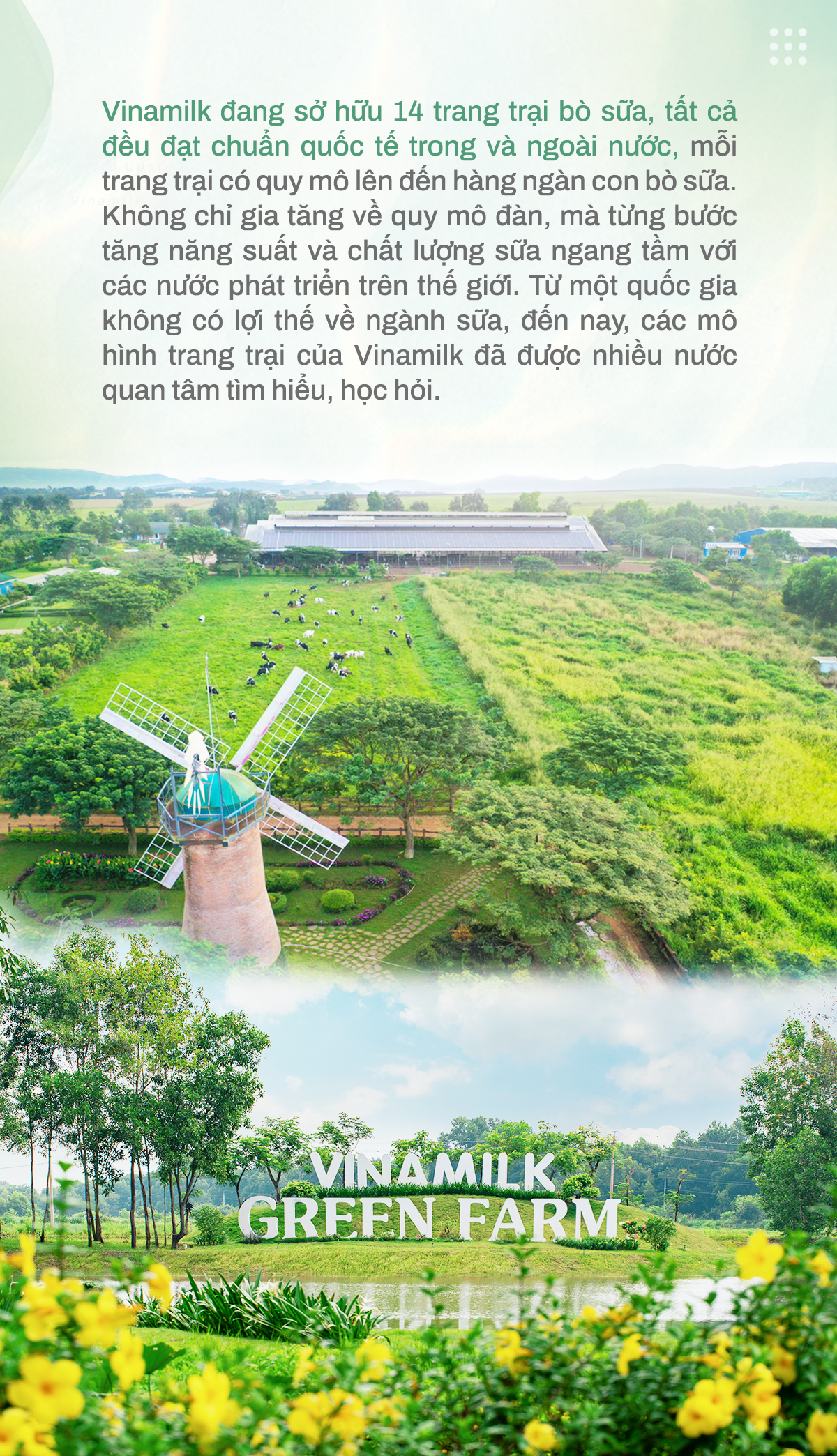 Bà Mai Kiều Liên – Nữ doanh nhân, nhà khoa học tâm huyết vì ngành sữa - Ảnh 6. Bà Mai Kiều Liên – Nữ doanh nhân, nhà khoa học tâm huyết vì ngành sữa - Ảnh 6.