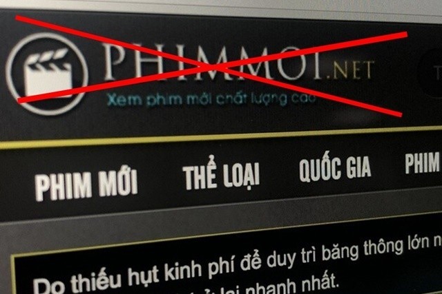 Web chiếu lậu Phimmoi mỗi tháng thu lợi bất chính gần 15 tỷ đồng - Ảnh 1.