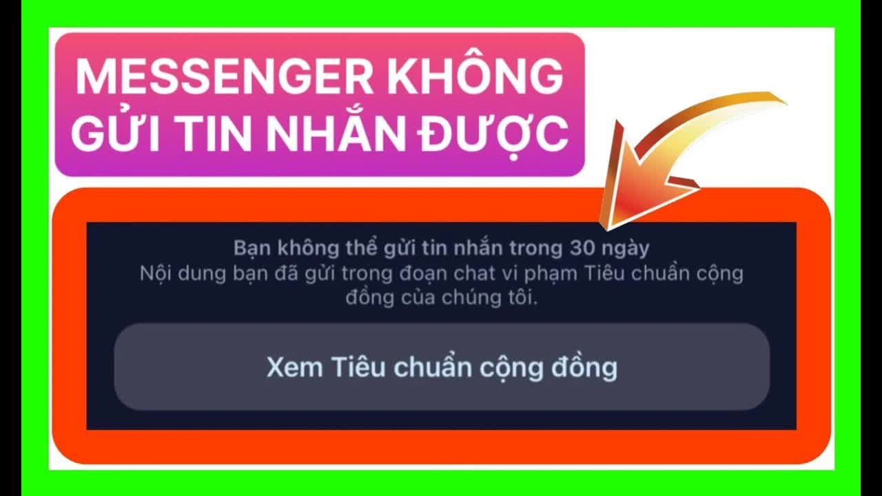 Người dùng Việt 