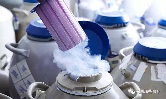 Chuyện đông lạnh trứng ở Trung Quốc - Ảnh 1. Chuyện đông lạnh trứng ở Trung Quốc - Ảnh 1.