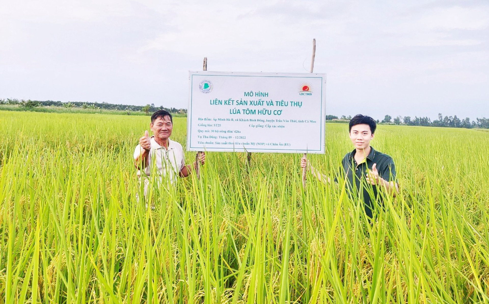 Bức tranh tài chính &quot;vua lúa gạo&quot; Lộc Trời: Lập kỷ lục doanh thu gần 12.000 tỷ đồng, nhắm mục tiêu 1 tỷ USD vào 2024, xây mô hình cùng nông dân bảo vệ môi trường - Ảnh 1.