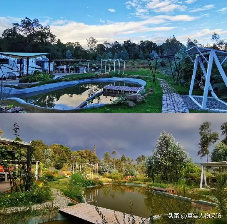 Cặp vợ chồng từ bỏ công việc bán lược kiếm hơn 3 tỷ/năm, nhà và xe ở phố, quyết mua 200 mẫu đất và sống ẩn dật trong rừng: Mệt nhưng vui, chúng tôi định sống ở đây cả đời! - Ảnh 11. Cặp vợ chồng từ bỏ công việc bán lược kiếm hơn 3 tỷ/năm, nhà và xe ở phố, quyết mua 200 mẫu đất và sống ẩn dật trong rừng: Mệt nhưng vui, chúng tôi định sống ở đây cả đời! - Ảnh 11.