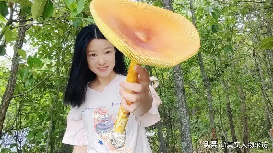 Cặp vợ chồng từ bỏ công việc bán lược kiếm hơn 3 tỷ/năm, nhà và xe ở phố, quyết mua 200 mẫu đất và sống ẩn dật trong rừng: Mệt nhưng vui, chúng tôi định sống ở đây cả đời! - Ảnh 10. Cặp vợ chồng từ bỏ công việc bán lược kiếm hơn 3 tỷ/năm, nhà và xe ở phố, quyết mua 200 mẫu đất và sống ẩn dật trong rừng: Mệt nhưng vui, chúng tôi định sống ở đây cả đời! - Ảnh 10.