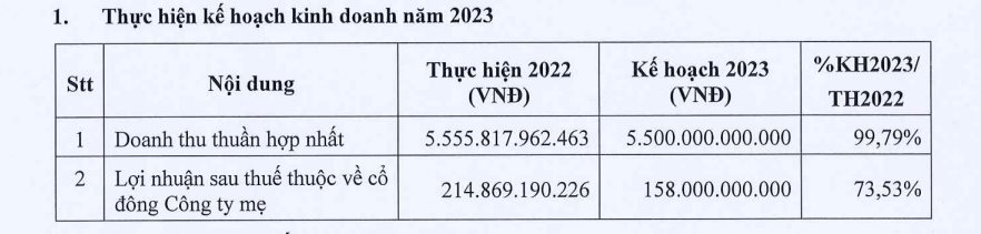 Dù lợi nhuận năm 2022 sụt giảm đến 67%, Đất Xanh vẫn tham vọng làm đại dự án 100-200ha trong năm 2023 - Ảnh 2.