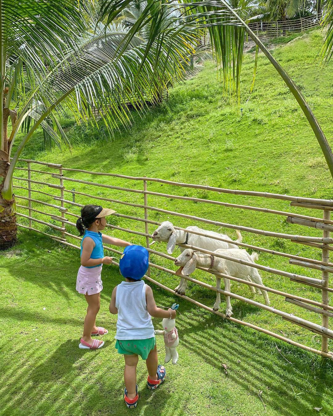 Đón mùa hè ý nghĩa bên gia đình tại khu nghỉ dưỡng và khách sạn thuộc Fusion Hotel Group - Ảnh 4. Đón mùa hè ý nghĩa bên gia đình tại khu nghỉ dưỡng và khách sạn thuộc Fusion Hotel Group - Ảnh 4.