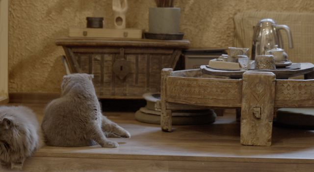 photo-1682608525305 photo-1682608525305