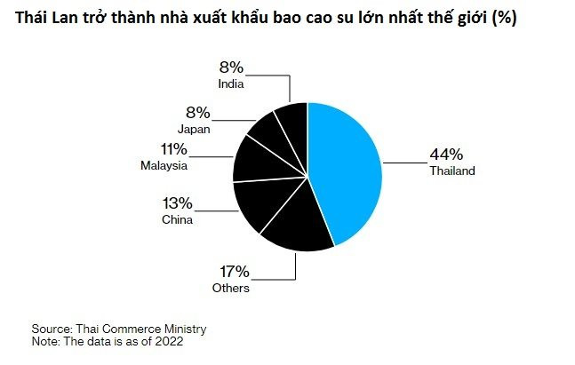 Thái Lan là quốc gia xuất khẩu bao cao su lớn nhất thế giới - Ảnh 2.
