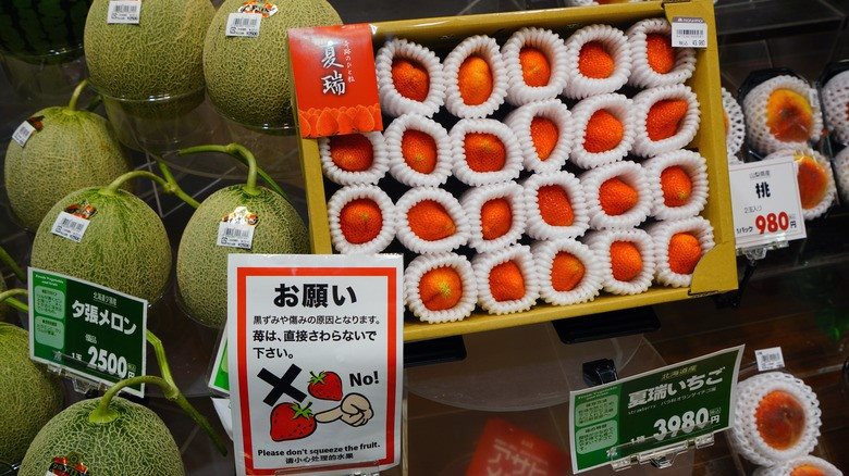 Nông sản “rẻ bèo” ở Việt Nam được Nhật Bản ‘cải tiến’: Trồng với phương thức ‘đặc biệt’, có quả lên tới 143 triệu đồng, một nước châu Âu săn lùng ráo riết - Ảnh 1. Nông sản “rẻ bèo” ở Việt Nam được Nhật Bản ‘cải tiến’: Trồng với phương thức ‘đặc biệt’, có quả lên tới 143 triệu đồng, một nước châu Âu săn lùng ráo riết - Ảnh 1.