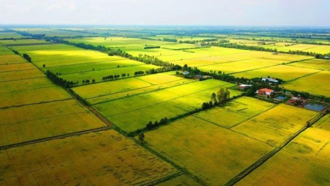 Chuyên gia: “Đầu tư đất nông nghiệp có thể nhân giá 200-500 lần trong 10 năm” - Ảnh 1.