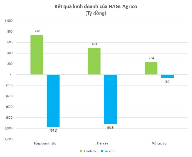 HAGL Agrico (HNG): Mảng trái cây lỗ gộp hơn 900 tỷ đồng, còn nợ HAGL khoảng 1.500 tỷ đồng - Ảnh 3.
