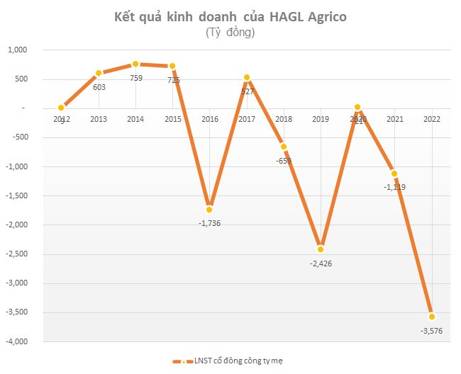 HAGL Agrico (HNG): Mảng trái cây lỗ gộp hơn 900 tỷ đồng, còn nợ HAGL khoảng 1.500 tỷ đồng - Ảnh 2.