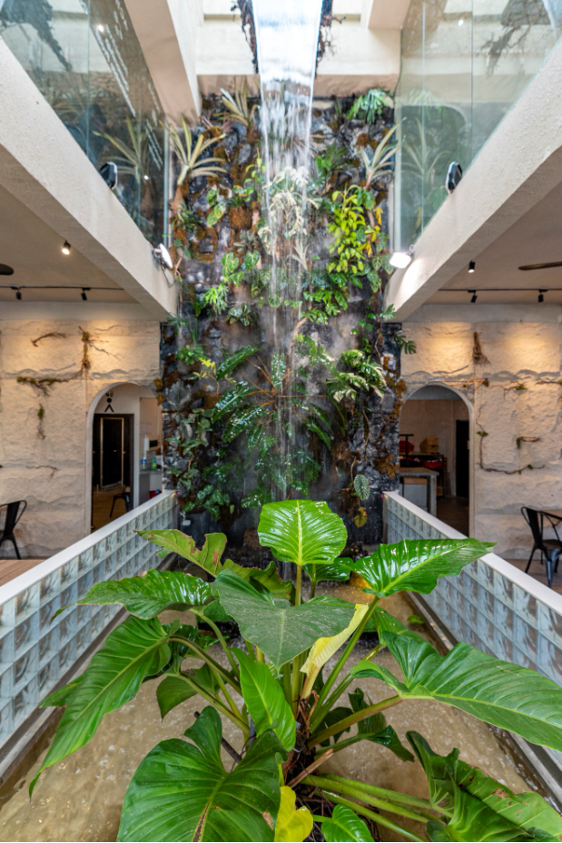 Tropical Waterfall – Không gian mới độc đáo tại Ba Gác Nướng & bia Lê Văn Sỹ - Ảnh 3. Tropical Waterfall – Không gian mới độc đáo tại Ba Gác Nướng & bia Lê Văn Sỹ - Ảnh 3.