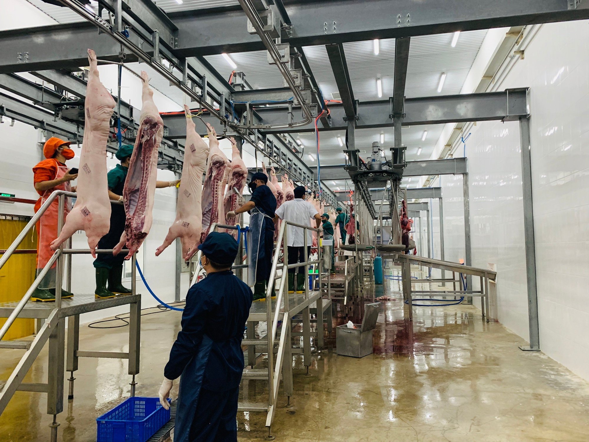 Gỡ khó cho giết mổ công nghiệp - Ảnh 1. Gỡ khó cho giết mổ công nghiệp - Ảnh 1.