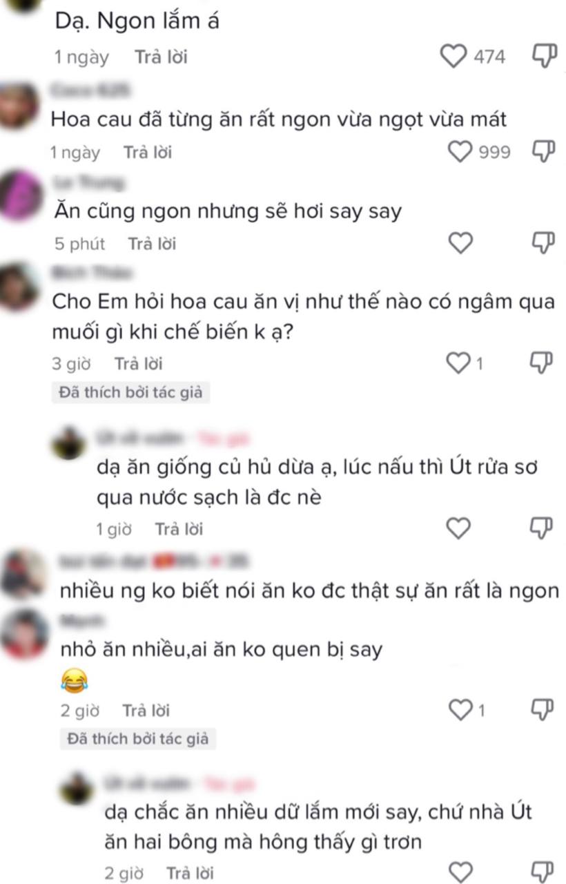 Trào lưu ăn uống khiến cây nhà lá vườn bỗng trở nên đắt hàng: Từ đọt đu đủ, quả mồng tơi đến cả hoa cau non cũng thành món ngon mới lạ - Ảnh 6.