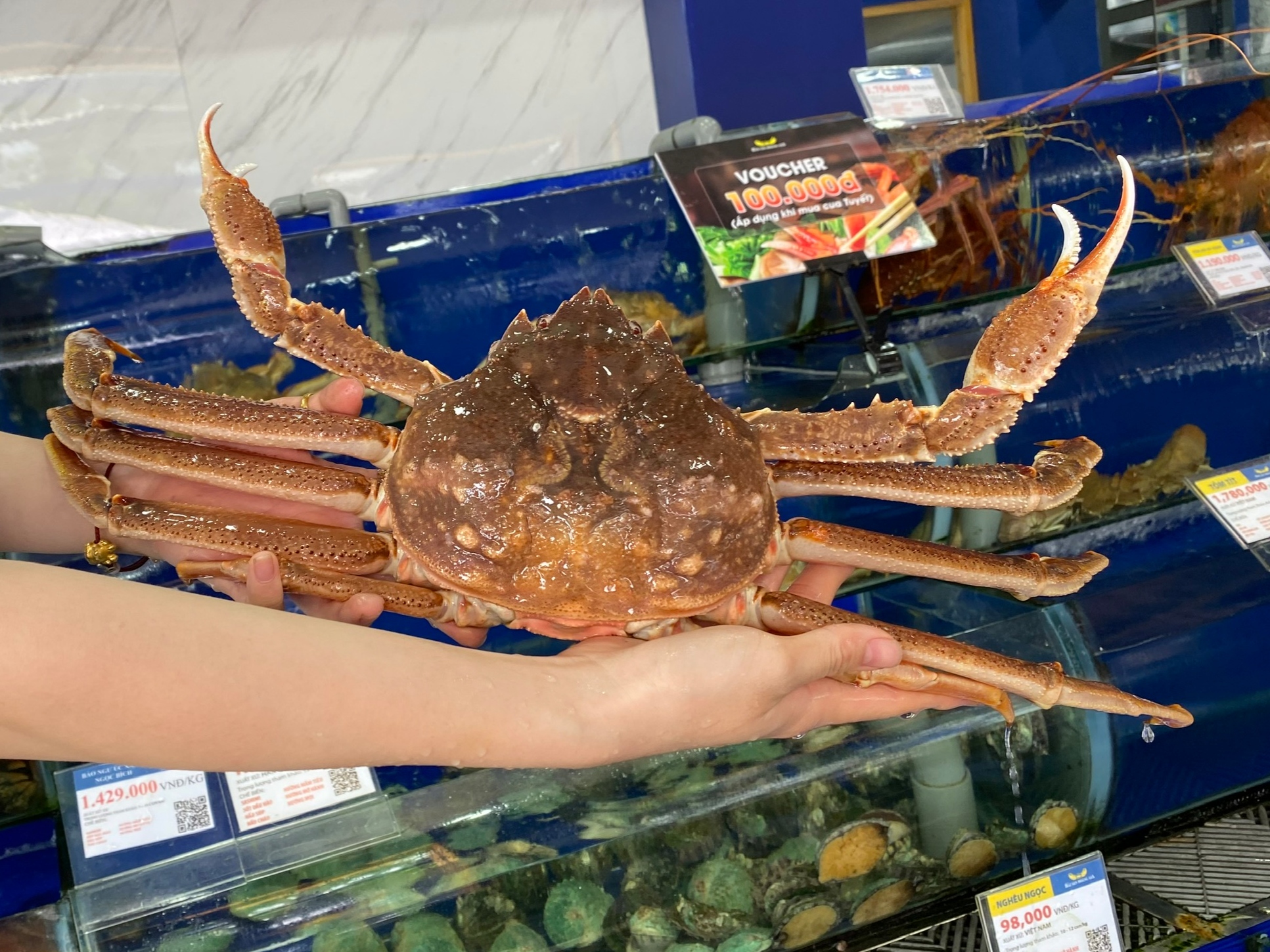 Giá cua, ghẹ “trên mây”, nhà bán lẻ trông cậy nguồn nhập khẩu - Ảnh 8. Giá cua, ghẹ “trên mây”, nhà bán lẻ trông cậy nguồn nhập khẩu - Ảnh 8.