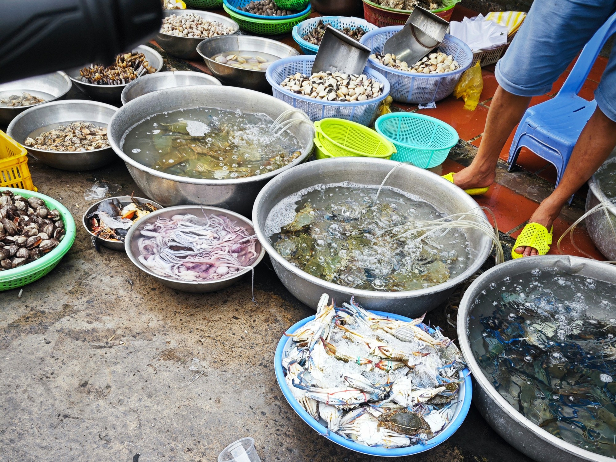 Giá cua, ghẹ “trên mây”, nhà bán lẻ trông cậy nguồn nhập khẩu - Ảnh 2. Giá cua, ghẹ “trên mây”, nhà bán lẻ trông cậy nguồn nhập khẩu - Ảnh 2.