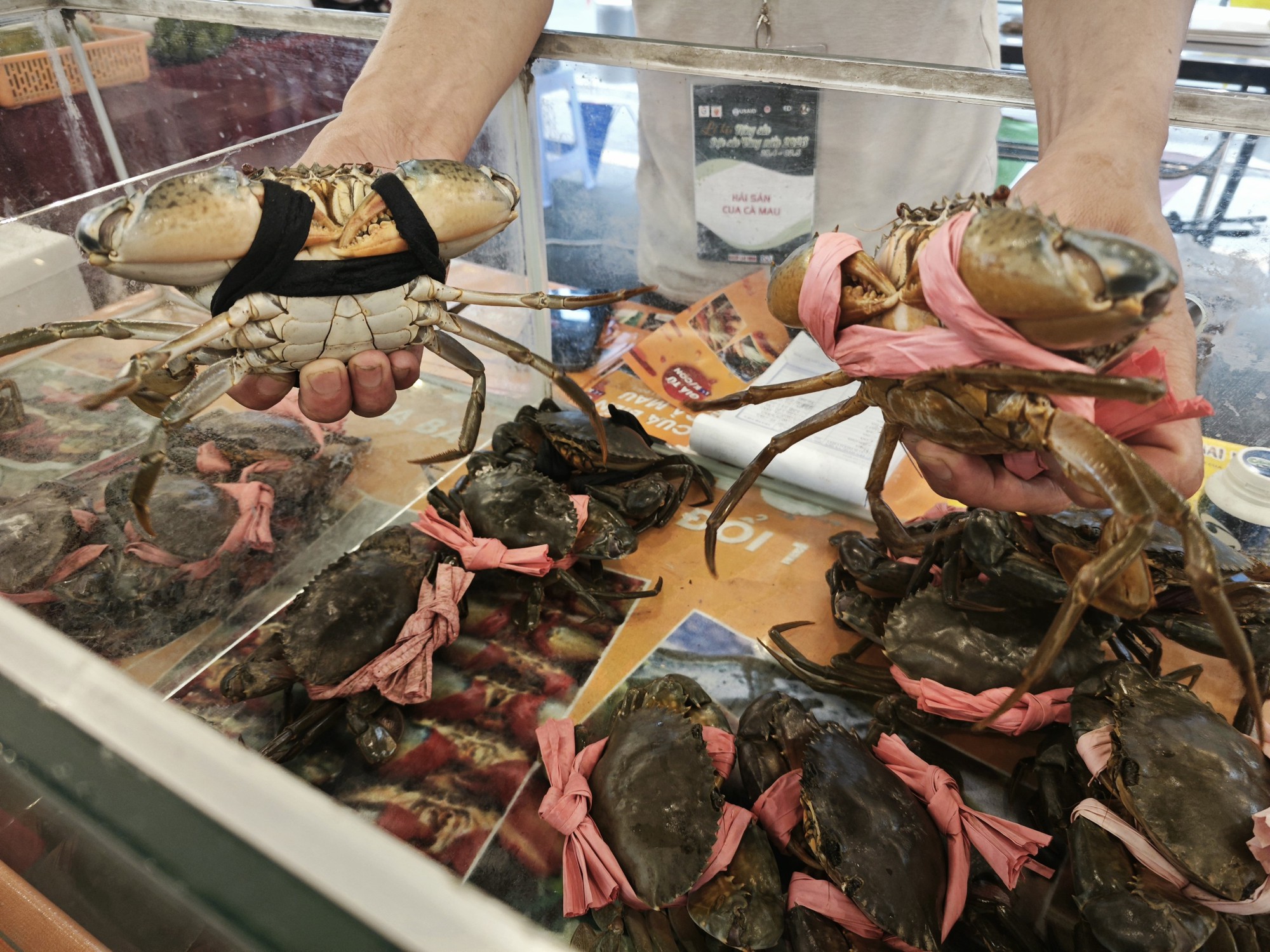 Giá cua, ghẹ “trên mây”, nhà bán lẻ trông cậy nguồn nhập khẩu - Ảnh 6. Giá cua, ghẹ “trên mây”, nhà bán lẻ trông cậy nguồn nhập khẩu - Ảnh 6.