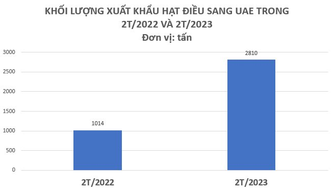 Một mặt hàng của Việt Nam được các 'đại gia' dầu mỏ cực kỳ ưa chuộng, xuất khẩu tăng mạnh gần 200% chỉ trong 2 tháng đầu năm - Ảnh 2.