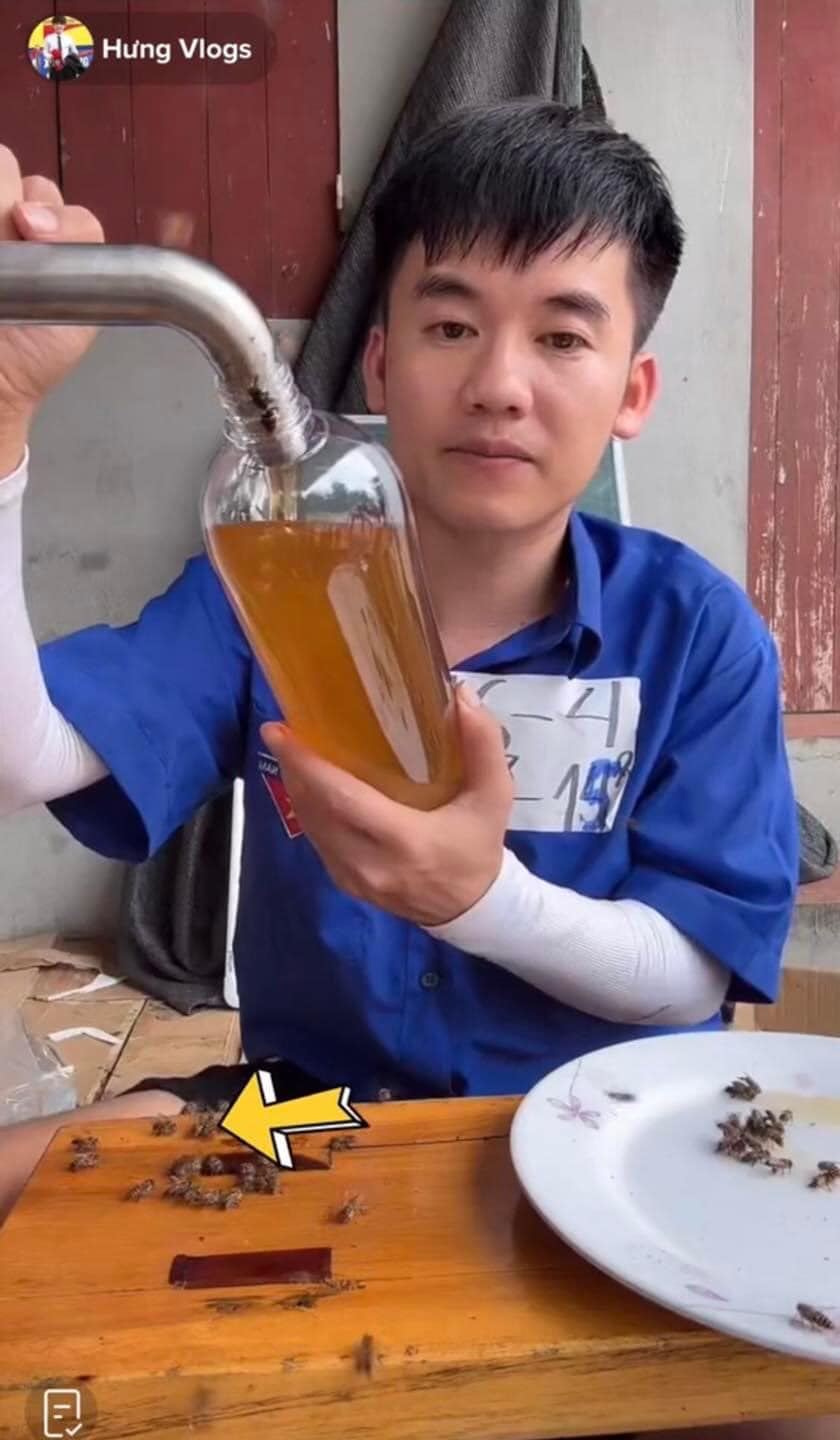 Phân phối mật ong giá quá rẻ, con trai bà Tân từng bị nghi ngờ “thuê ong” để phụ hoạ bán hàng - Ảnh 2. Phân phối mật ong giá quá rẻ, con trai bà Tân từng bị nghi ngờ “thuê ong” để phụ hoạ bán hàng - Ảnh 2.