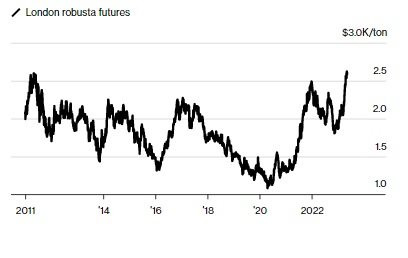 Thế giới thiếu hụt cà phê robusta trầm trọng dù xuất khẩu tăng - chuyện gì đang xảy ra? - Ảnh 2. Thế giới thiếu hụt cà phê robusta trầm trọng dù xuất khẩu tăng - chuyện gì đang xảy ra? - Ảnh 2.