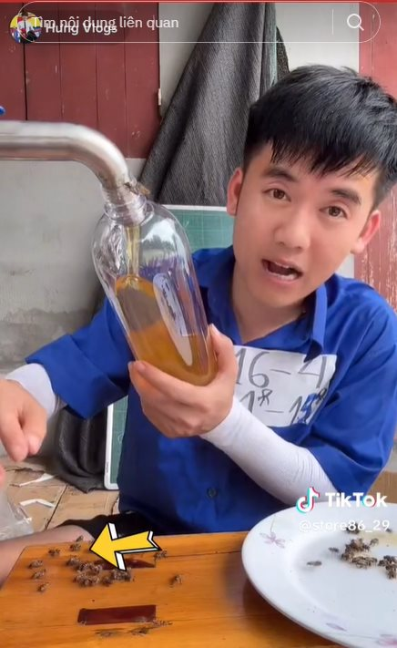Cũng bán mật ong, nhóm người này chọn cách băng rừng, vượt thác lên thượng nguồn sông Đà để lấy được vài lít mật ong quý giá - Ảnh 2. Cũng bán mật ong, nhóm người này chọn cách băng rừng, vượt thác lên thượng nguồn sông Đà để lấy được vài lít mật ong quý giá - Ảnh 2.