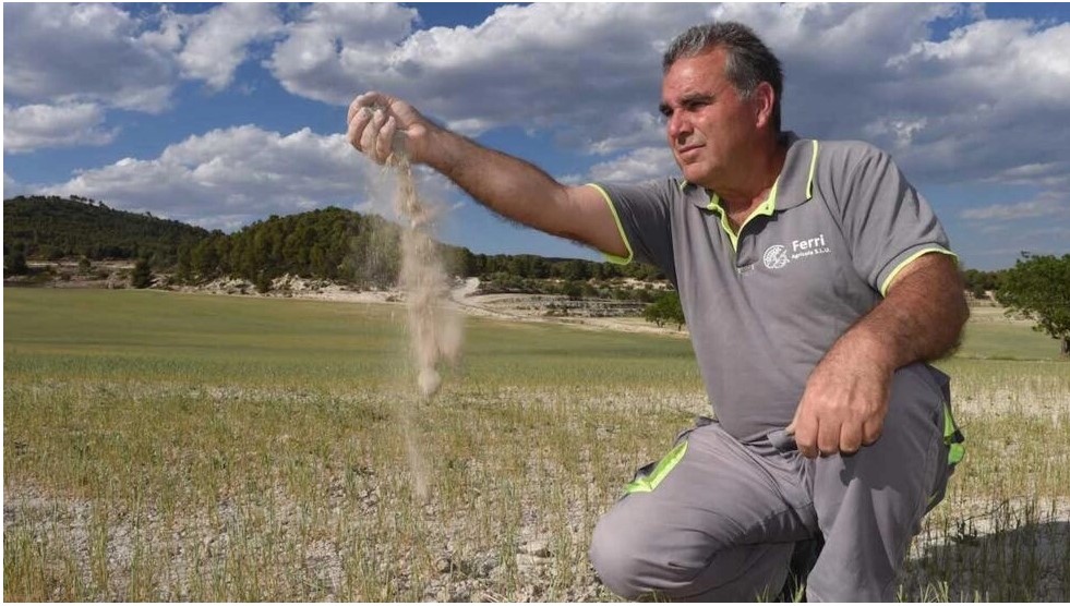 'Vàng xanh' bốc hơi nhanh chóng: Quốc gia châu Âu gióng hồi chuông cảnh báo về hiện tượng chưa từng có - Ảnh 1. 'Vàng xanh' bốc hơi nhanh chóng: Quốc gia châu Âu gióng hồi chuông cảnh báo về hiện tượng chưa từng có - Ảnh 1.