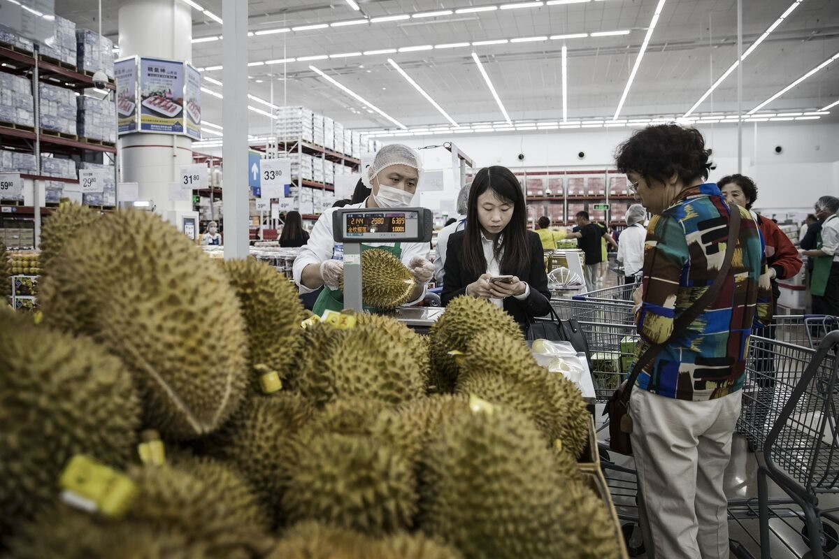 Trung Quốc ôm mộng xuất khẩu sầu riêng sang ĐNÁ, giá rẻ, để được lâu khiến Thái Lan, Malaysia run sợ - Ảnh 3.