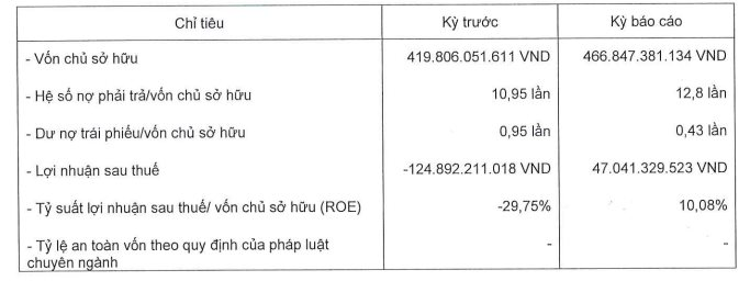 Công ty con của Novaland có nợ phải trả gấp gần 13 lần vốn chủ sở hữu - Ảnh 2.