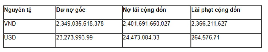 VietinBank rao bán khoản nợ 5.800 tỷ của công ty đóng tàu liên quan đến doanh nghiệp âm vốn lớn thứ 2 trên sàn chứng khoán - Ảnh 2.