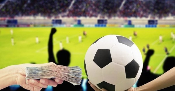 Nghiên cứu các loại hình cá cược mới có thể hợp pháp hóa - Ảnh 1.