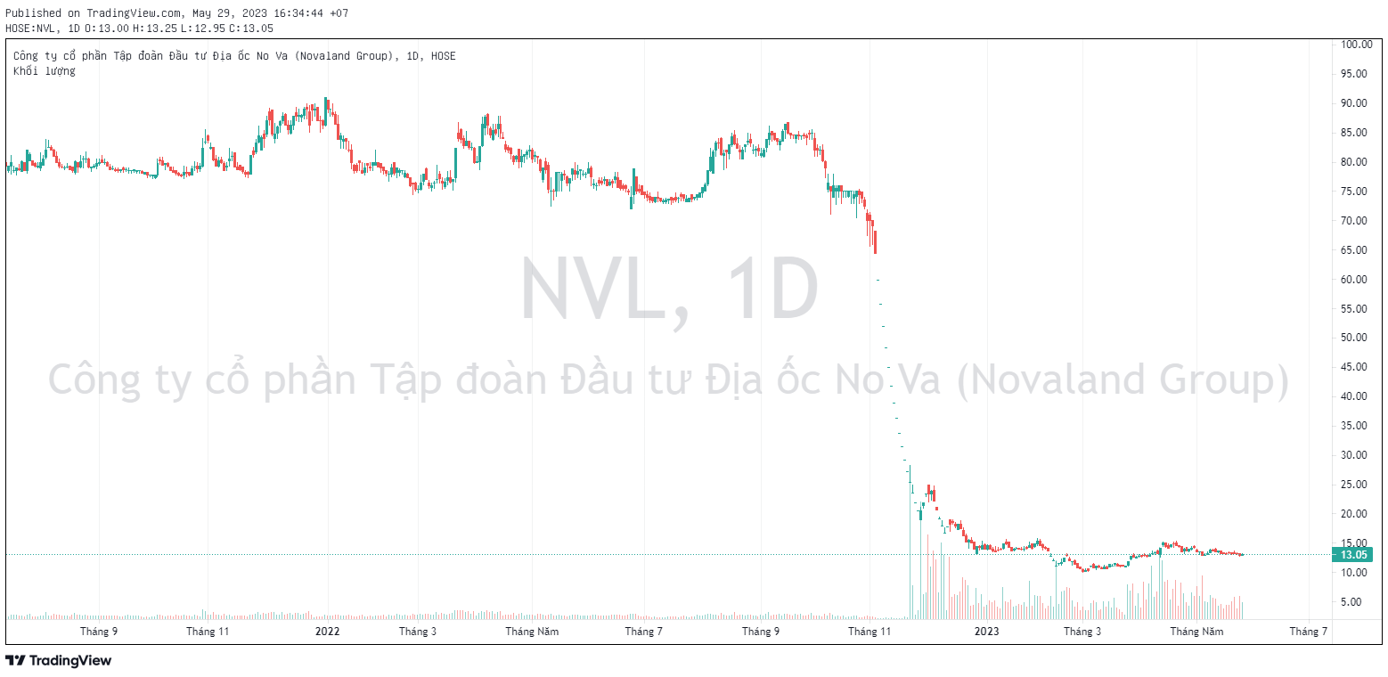 Con gái ông Bùi Thành Nhơn muốn mua vào gần 3,5 triệu cổ phiếu Novaland (NVL) - Ảnh 2.