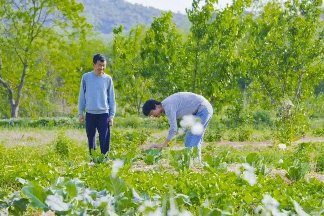 Kiếm đủ tiền, cựu giám đốc công nghệ của Tencent từ chức về quê mua 133.000m2 đất làm trang trại sống ẩn dật, mất 3 năm mới xây dựng thành công - Ảnh 9.