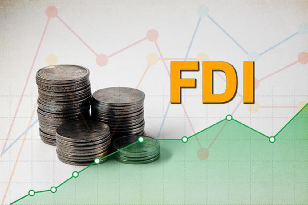 Các doanh nghiệp FDI trên sàn chứng khoán đang làm ăn ra sao? - Ảnh 1.