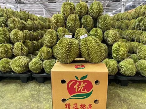 Trung Quốc tiêu thụ gần 1 triệu tấn/năm lại đặc biệt thích hàng Việt Nam - cơ hội vàng để Việt Nam thu tỷ USD từ xuất khẩu loại 'trái cây vua' này - Ảnh 3.