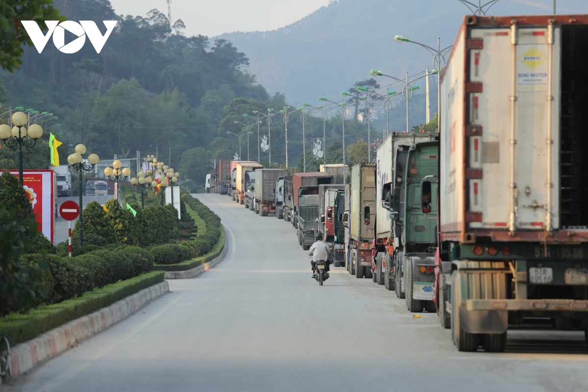 Khuyến cáo DN xuất khẩu sầu riêng theo dõi sát tình hình cửa khẩu Lạng Sơn - Ảnh 1.