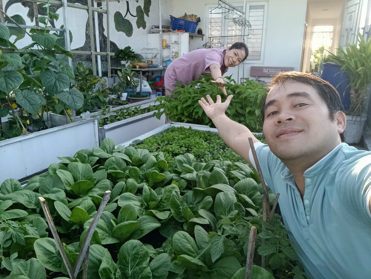 Khu vườn sân thượng 70m2 trĩu nặng rau quả từ căn nhà phố ở Bình Thuận - Ảnh 1.
