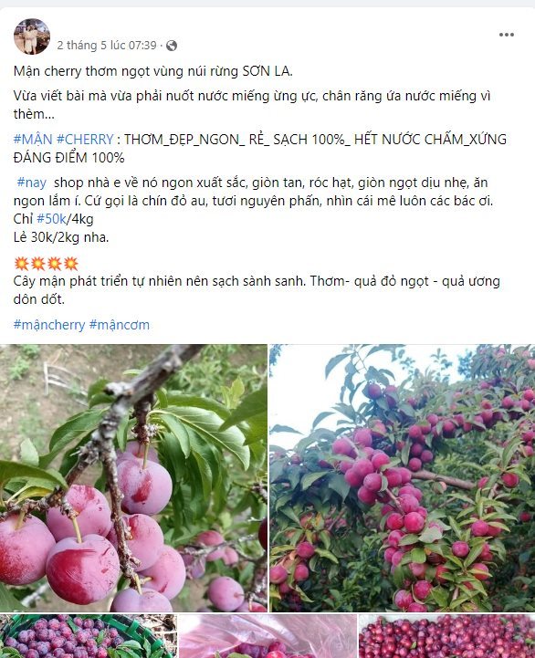 'Cherry Việt' đổ bộ thị trường, giá rẻ siêu đắt khách - Ảnh 2.