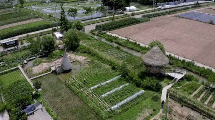 Bán nhà thành phố, đôi vợ chồng Trung Quốc về quê mua mảnh đất hoang 12.000m2 sống “tự cung tự cấp”: Tự do về cả vật chất lẫn tinh thần - Ảnh 3.