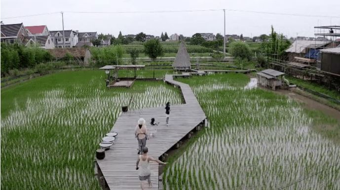 Bán nhà thành phố, đôi vợ chồng Trung Quốc về quê mua mảnh đất hoang 12.000m2 sống “tự cung tự cấp”: Tự do về cả vật chất lẫn tinh thần - Ảnh 4.