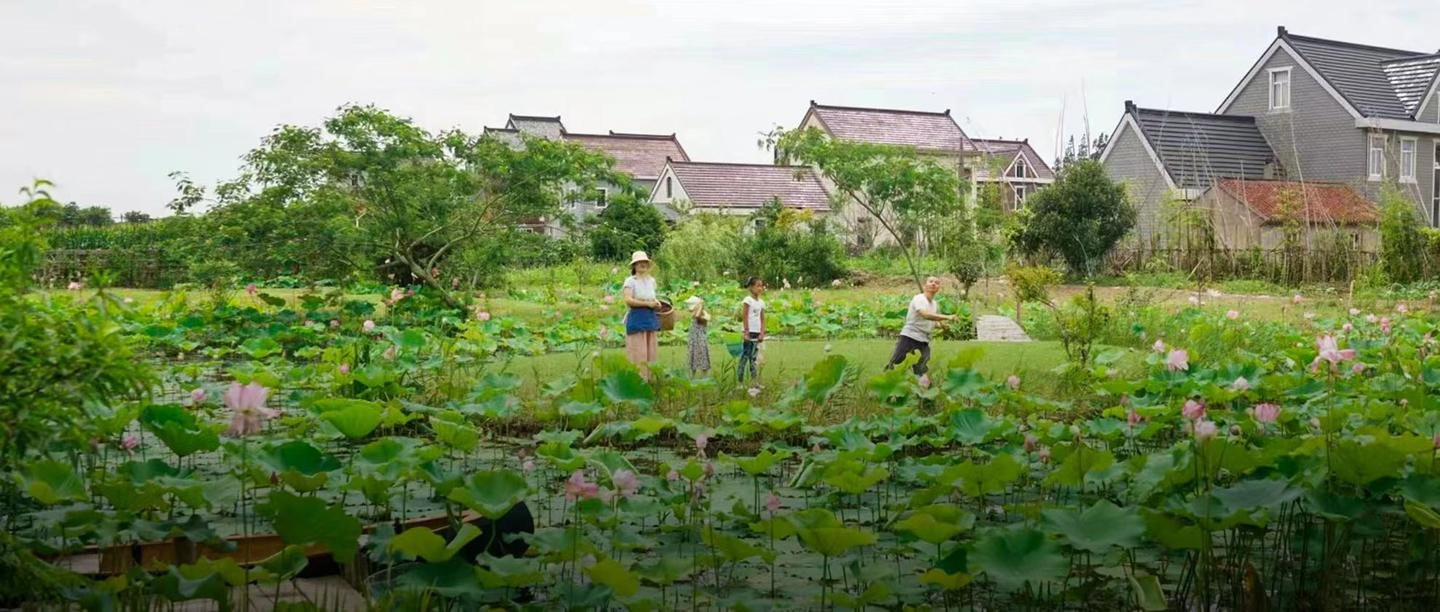 Bán nhà thành phố, đôi vợ chồng Trung Quốc về quê mua mảnh đất hoang 12.000m2 sống “tự cung tự cấp”: Tự do về cả vật chất lẫn tinh thần - Ảnh 1.
