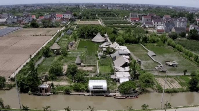 Bán nhà thành phố, đôi vợ chồng Trung Quốc về quê mua mảnh đất hoang 12.000m2 sống “tự cung tự cấp”: Tự do về cả vật chất lẫn tinh thần - Ảnh 2.