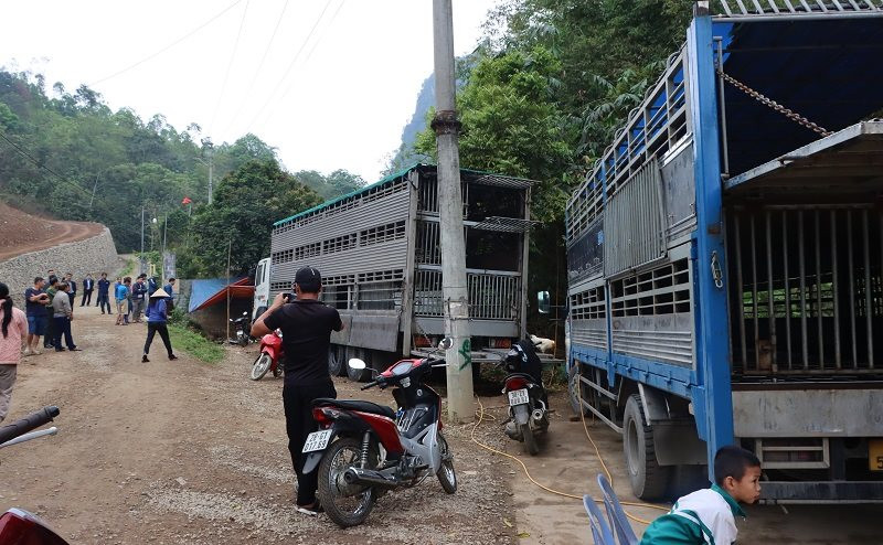 Trại lợn của đại gia “heo ăn chay” Trương Sỹ Bá tại Hòa Bình bị xử phạt do xả thải trái phép ra môi trường - Ảnh 2.