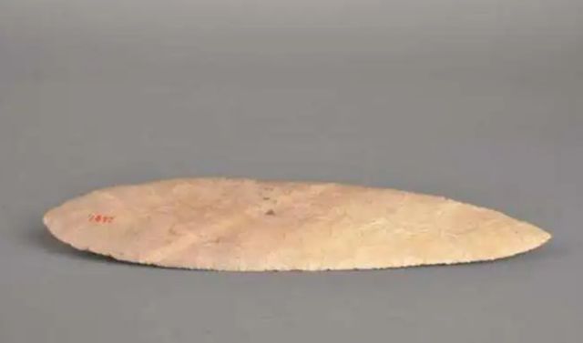 Cậu học sinh lên núi nhặt được chiếc lá, chuyên gia khảo cổ tuyên bố “Đây là bảo vật vô giá, có lịch sử hơn 6.000 năm” - Ảnh 2.