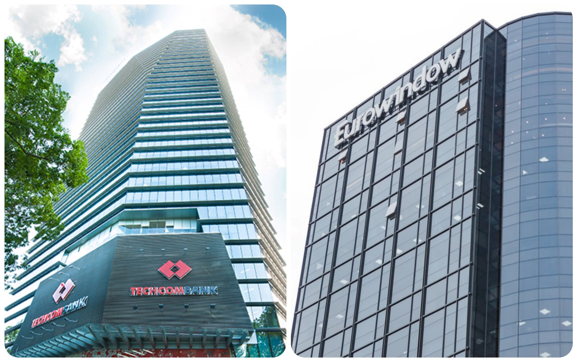Techcombank cấp khoản tín dụng 800 tỷ cho Eurowindow - Ảnh 1.