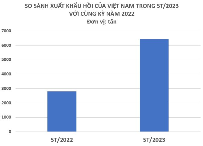 Việt Nam nắm trong tay loại gia vị quý báu rất ít quốc gia có, xuất khẩu tăng hơn 200% trong 5 tháng đầu năm, Ấn Độ và Trung Quốc đều mạnh tay thu mua - Ảnh 2.
