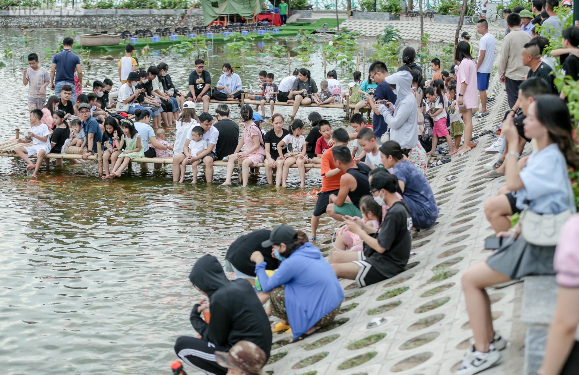 Người dân kéo đến trải nghiệm tại hồ cá Koi lớn nhất Hà Nội - Ảnh 2.